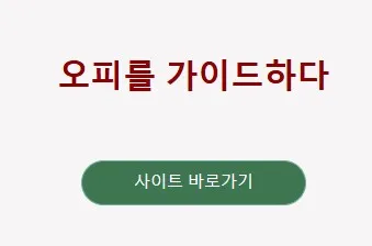 오피가이드 1
